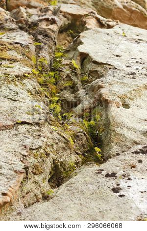 Close Pattern Of A Sand Formations. Sandstone Rock In Spring In Latvia. Langu Cliffs At Lode Behind 