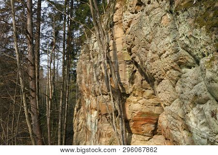 Sandstone Rock In Spring In Latvia. Langu Cliffs At Lode Behind Cesis In Latvia.