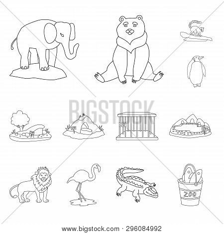 Isolated Object Of Entertainment And Forest Sign. Set Of Entertainment And Park Stock Vector Illustr