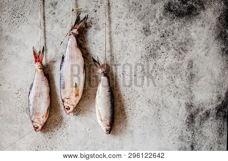 Salting Roaches, Handing To Dry And Salt Through, Copy Space For Your Text