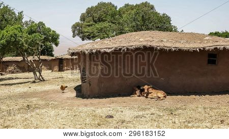 Animals And Mud Huts In A Traditional Manyatta Of Masai Mara, Kenya