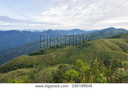 3 Tree Mountain At Phu Langka National Park View Point Tree Foreground. 3 Mountain Rim With Cloud An