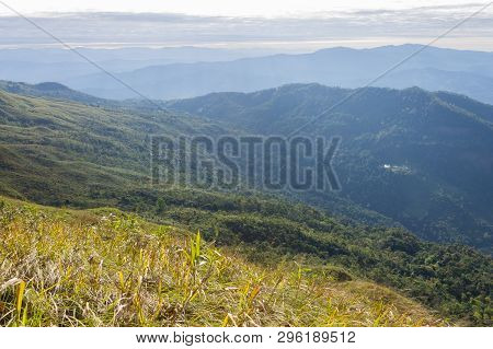 Grass Field At Phu Lanka Mountain National Park Phayao Thailand Travel. Yellow Grass Field On Phu La