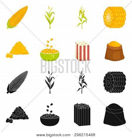 Vector Illustration Of Cornfield And Vegetable Icon. Set Of Cornfield And Vegetarian Vector Icon For