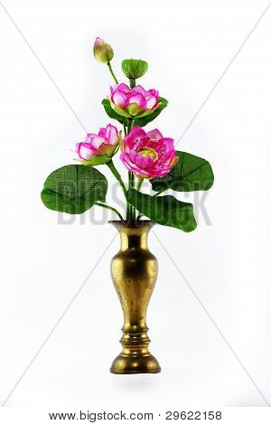 Lotus