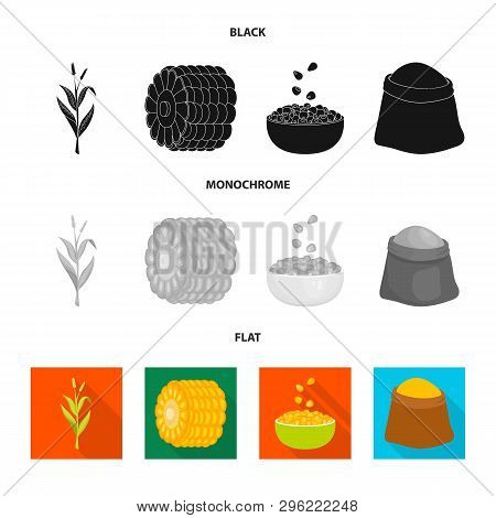 Vector Illustration Of Cornfield And Vegetable Symbol. Set Of Cornfield And Vegetarian Vector Icon F