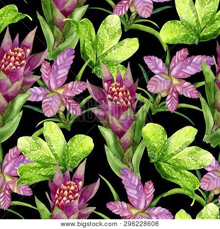 Hand Drawn Seamless Pattern With Tropical Plants Tillandsia Cyanea, Bromeliaceae And Aglaonema On Bl