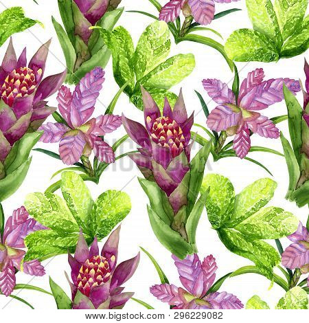 Hand Drawn Seamless Pattern With Tropical Plants Tillandsia Cyanea, Bromeliaceae And Aglaonema On Wh