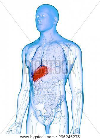 3d rendered medically accurate illustration of a diseased liver