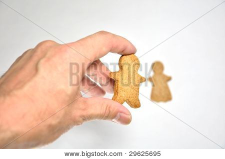 Ginger Cookie.