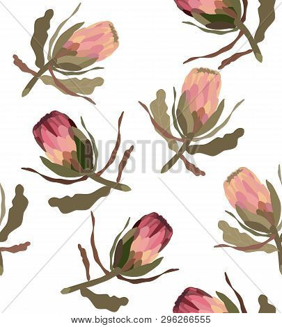 Pink Protea Realistic Vector Illustration.protea. Tropical King Protea Flower In Blossom, Hand Drawn