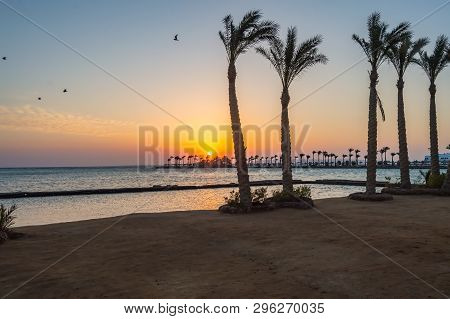 Sunrise On A Peninsula Of Hurghada Across A Row Of Palm Trees On The Red Sea In Egypt