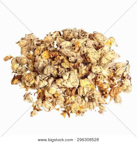 Orange Mullein Verbasci Flos Isolated On White