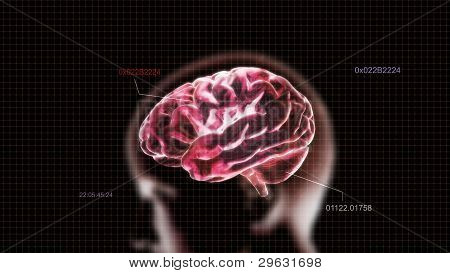 Gehirn und Kopf Timecode Roten Kristall