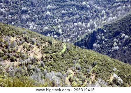 Section Of A Valley In The Maountain Range Of Demanda