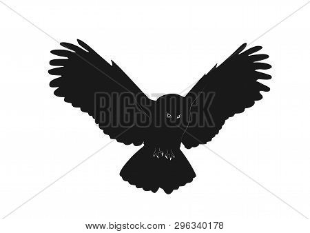Owl With Widespread Wings In Flight. Isolated Vector Silhouette Image Of Wide Wingspan Bird