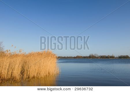 natuur reed in Nederlandse landschap met meer