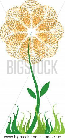 Bubble bloem