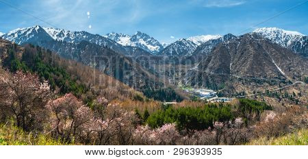 Spring In The Valley Of Medeo. Spring Mountain Landscape