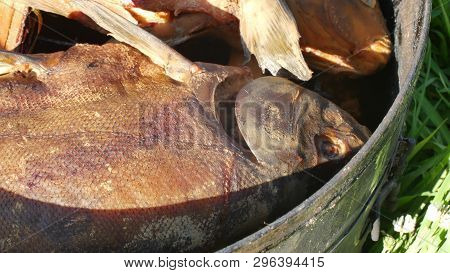 Fish Smoking Process For Home Use. Hot Smoked Fhish. Close Up Smoking Process Fish In Smoking Shed F