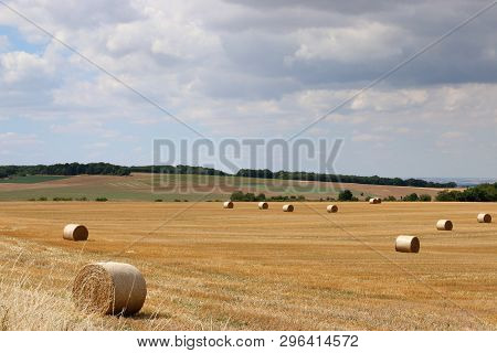 Summer Rural Landscape With Harvesting Field, Brught Yellow Hayrolls, Blue Sky, Dark Green Trees At 