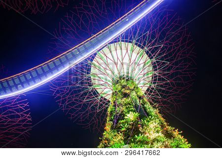 SINGAPORE, SINGAPORE - MARCH 2019: Supertree Grove & OCBC Skyway illuminated for light show in gardens by the bay