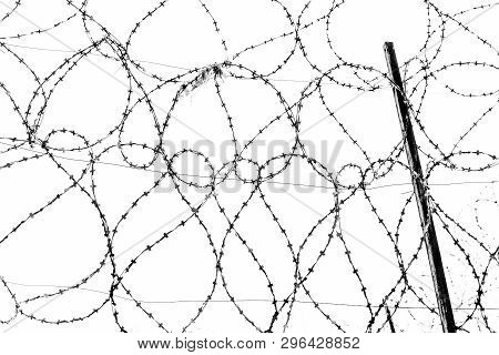 Steel Strands Of Rolled Barbed Wire On The Fence Of The Prison Against The Gray Sky