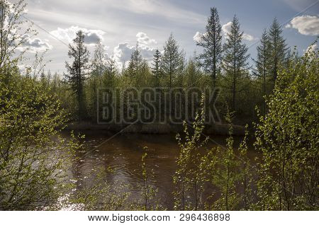 North River Flowing Across Green Forest. Spring. Before The Rain