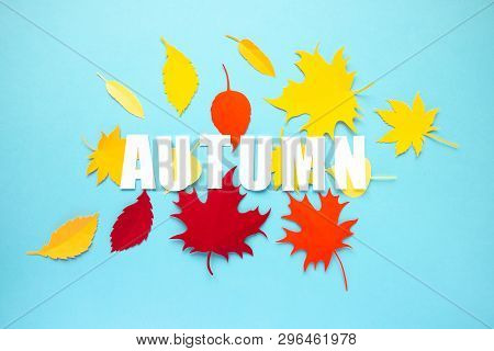 Letter Autumn Cut From Paper With Paper Autumn Leaves