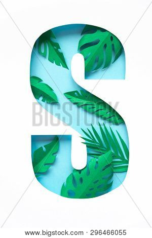 Letter S Cut From Paper With Tropical Palm Leaves From Paper