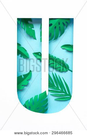 Letter U Cut From Paper With Tropical Palm Leaves From Paper