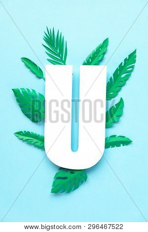 Letter U Cut From Paper With Tropical Palm Leaves From Paper