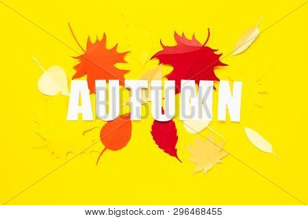 Letter Autumn Cut From Paper With Paper Autumn Leaves