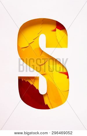 Letter S Cut From Paper With Paper Autumn Leaves