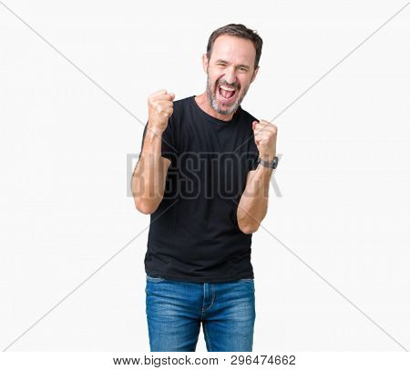 Handsome middle age hoary senior man over isolated background very happy and excited doing winner gesture with arms raised, smiling and screaming for success. Celebration concept.