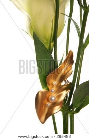 Broche op rozet