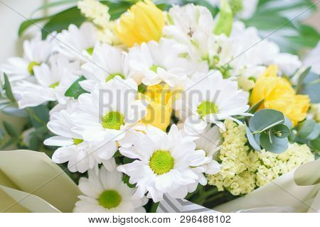 Beautiful Bouquet Of Flowers, Daisies Close-up With Blurred Background