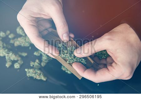 Man Preparing And Rolling Marijuana Cannabis Joint. Close Up Of Addict Lighting Up Marijuana Joint W