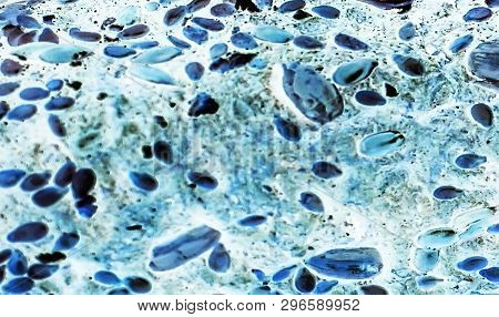 Bacteria Under The Microscope Background.  Background  Bacteria