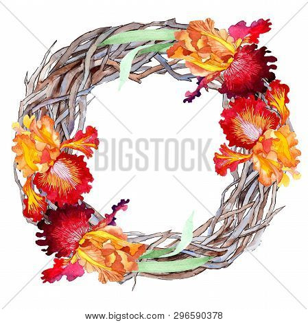 Red Bold Encounter Iris Floral Botanical Flowers. Watercolor Background Illustration Set. Frame Bord