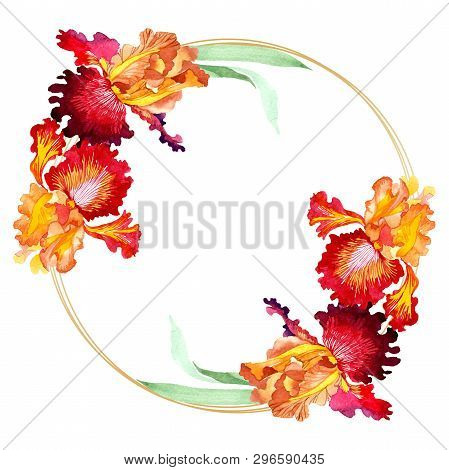 Red Bold Encounter Iris Floral Botanical Flowers. Watercolor Background Illustration Set. Frame Bord