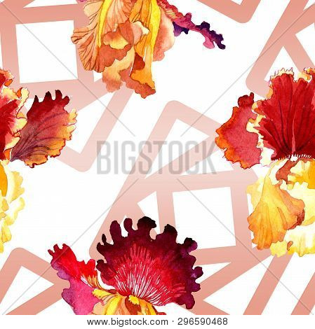 Red Bold Encounter Iris Floral Botanical Flowers. Watercolor Background Illustration Set. Seamless B