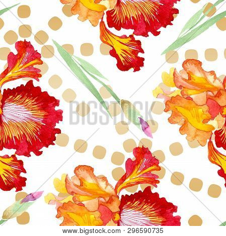 Red Bold Encounter Iris Floral Botanical Flowers. Watercolor Background Illustration Set. Seamless B