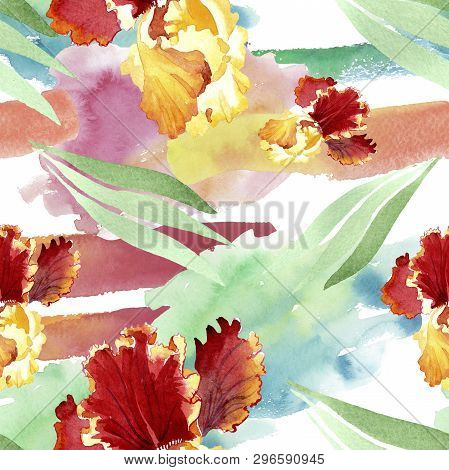 Red Bold Encounter Iris Floral Botanical Flowers. Watercolor Background Illustration Set. Seamless B