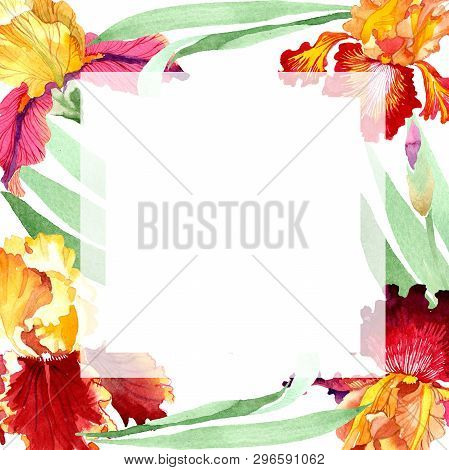 Red Bold Encounter Iris Floral Botanical Flowers. Watercolor Background Illustration Set. Frame Bord
