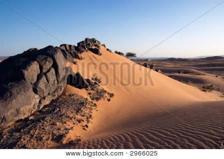 Solidified Lava Stones In Sand Dune