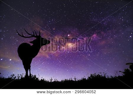 The Deer Image Stands In The Milky Way Constellation.