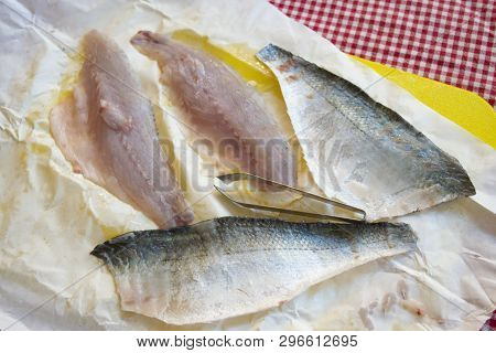 Filleted Orata Fillet Ready To Be Cook