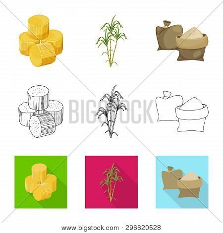 Isolated Object Of Farm And Agriculture  Icon. Collection Of Farm And Technology Vector Icon For Sto