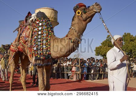 Nagaur, Rajasthan, India - February 13, 2008: Decorated Camel At The Annual Livestock Festival In Na